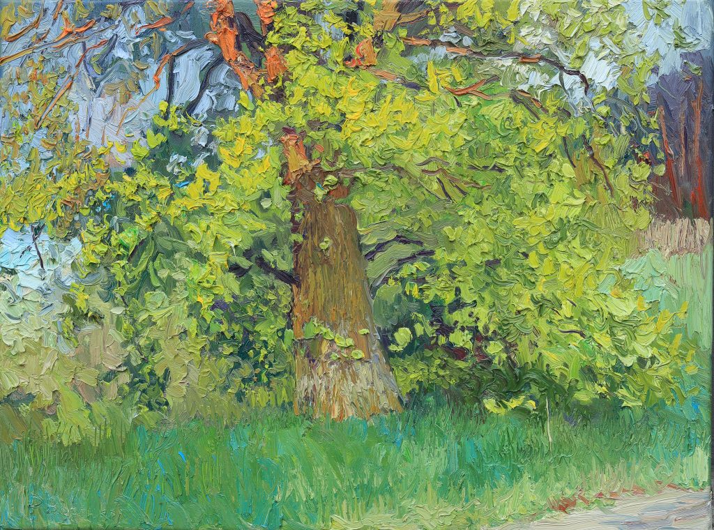 Oil painting of an oak tree in spring evening light with golden-yellow leaves and lush green grass.